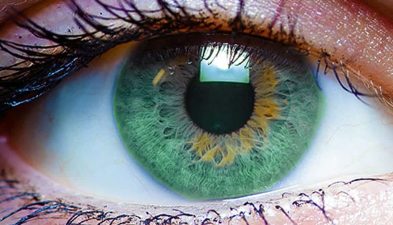 Bouw-van-het-oog